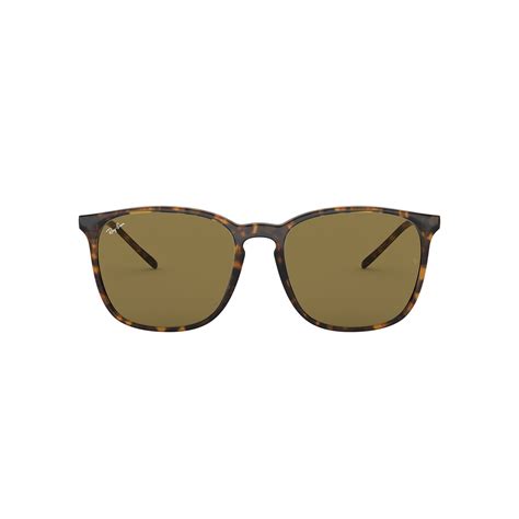 ray-ban rb4324 sunglasses|ray ban rb4387 polarized.